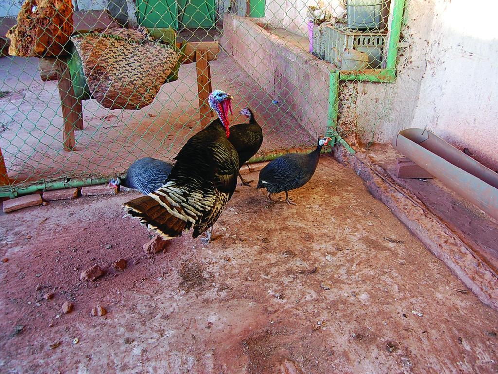 Gite Souss Oulad Teïma Esterno foto