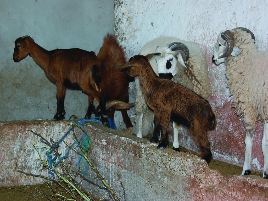 Gite Souss Oulad Teïma Esterno foto