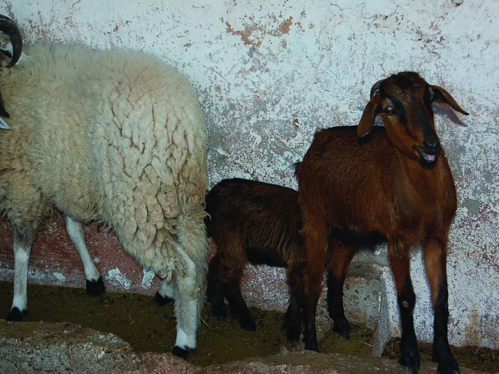 Gite Souss Oulad Teïma Esterno foto