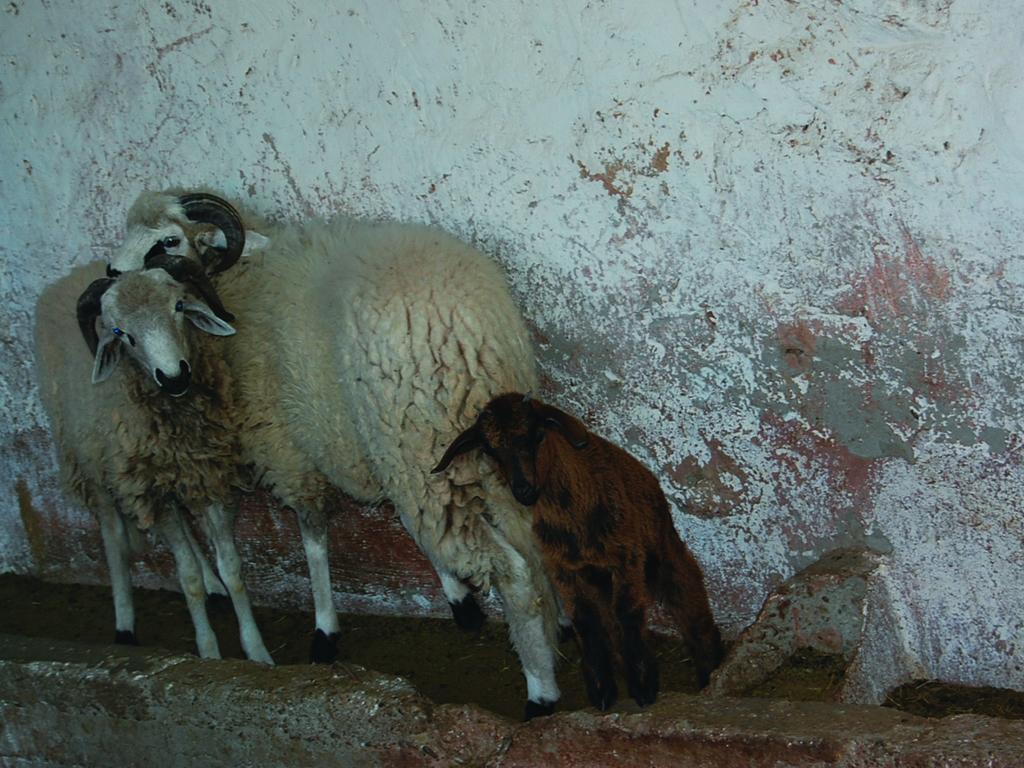 Gite Souss Oulad Teïma Esterno foto