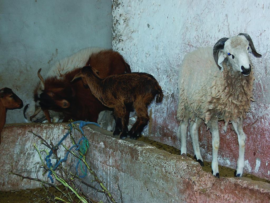 Gite Souss Oulad Teïma Esterno foto